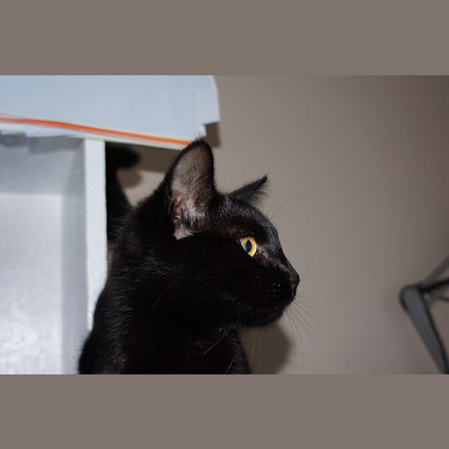 Photo of Mandy