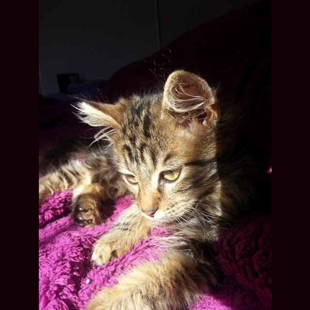 Photo of Victor