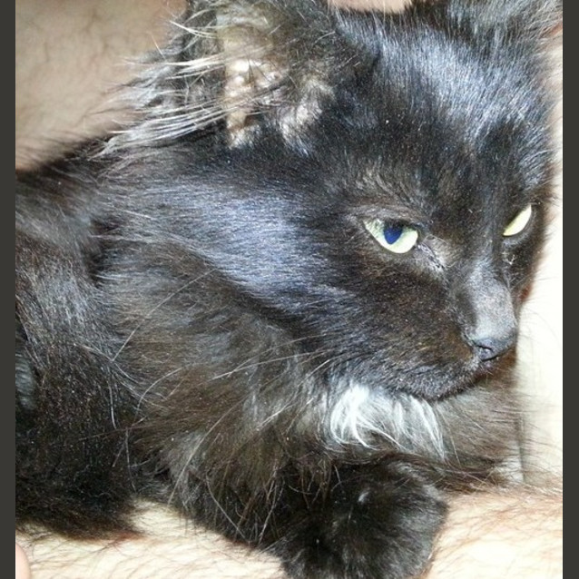 Photo of Marcus