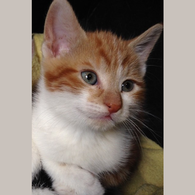 Photo of Junior