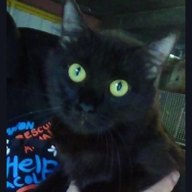 Photo of Nadia