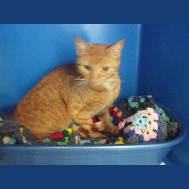 Photo of Pookie