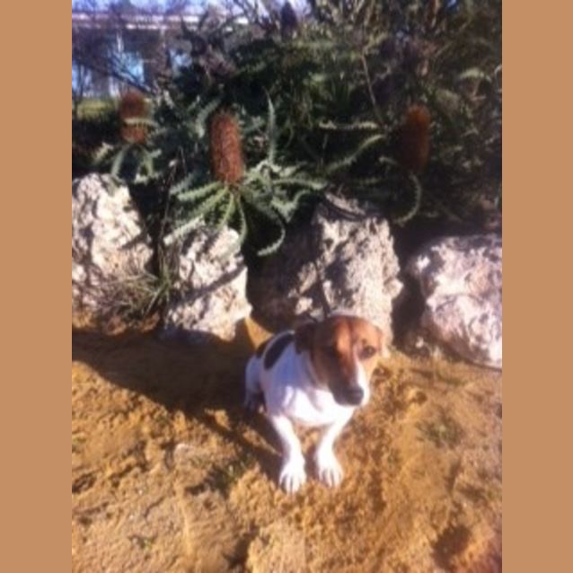 Photo of Mackie