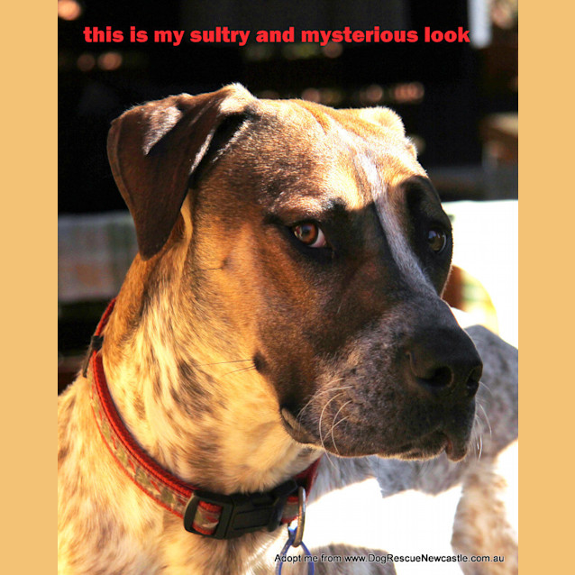 Photo of Jed (On Trial 6/9/14)