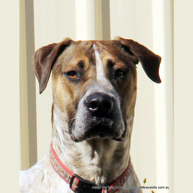 Photo of Jed (On Trial 6/9/14)