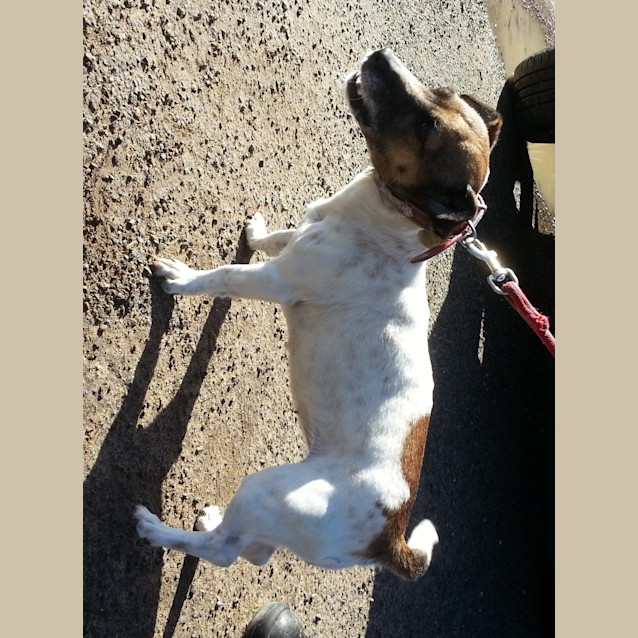 Photo of Lu Lu (D731)