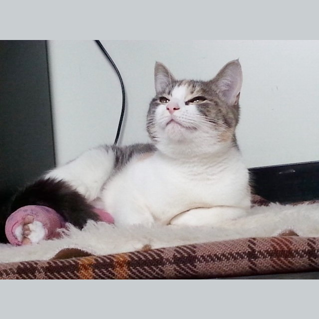 Photo of Tuesday