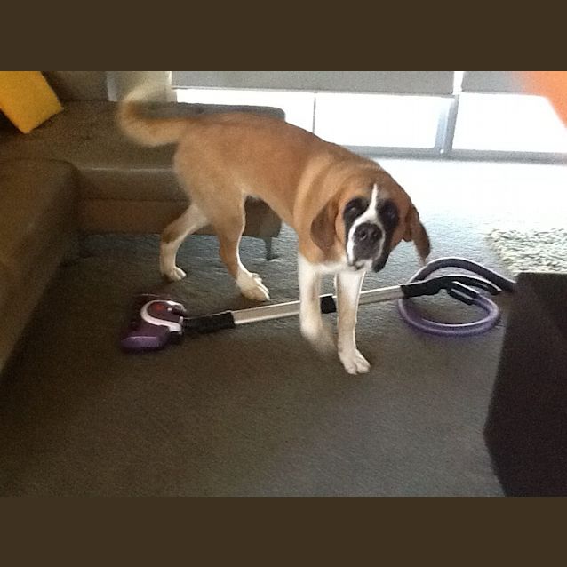 Photo of Maggie 