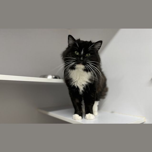 Photo of Bonnie