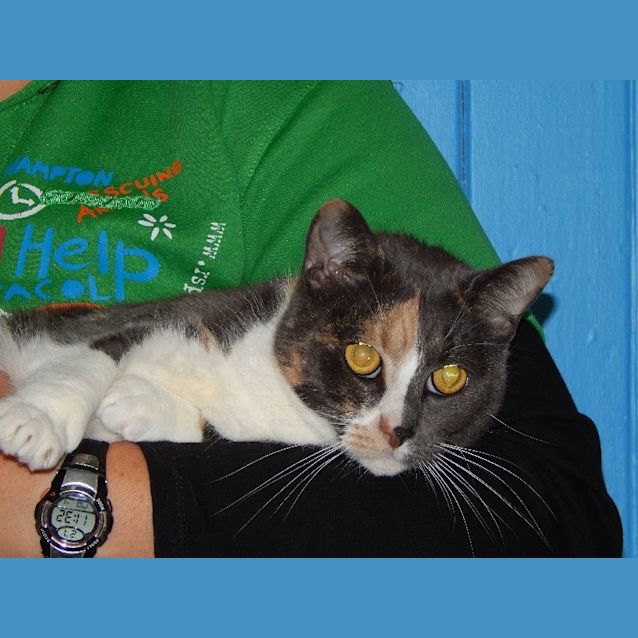 Photo of Agent Snuggles Bessie