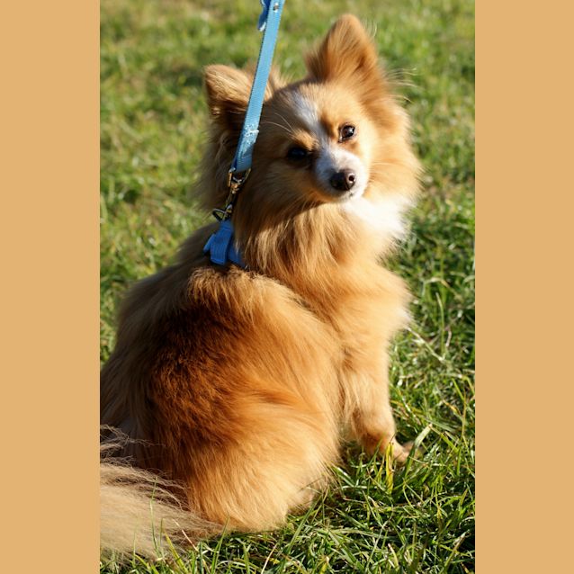 Photo of Jaxson