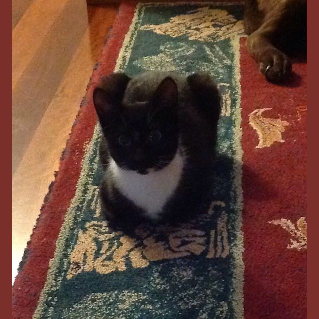 Photo of Sophie 