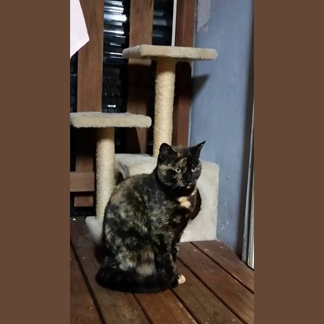 Photo of Princess