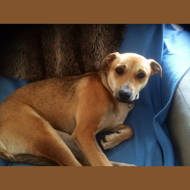 Photo of Lady