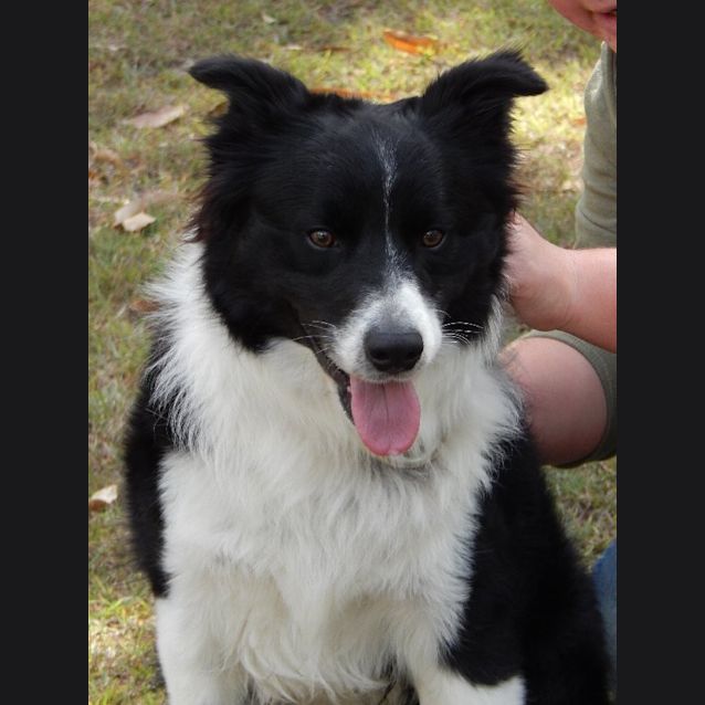 Photo of Miko