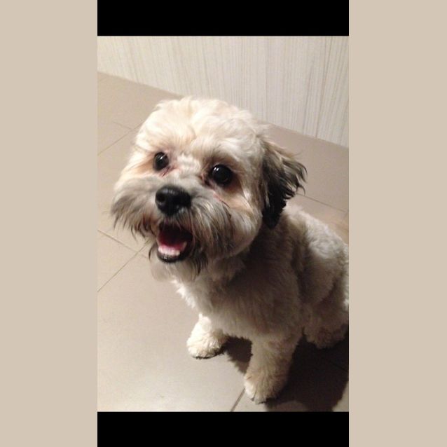Photo of Ruben
