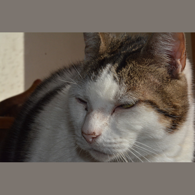 Photo of Pepsi Mendez