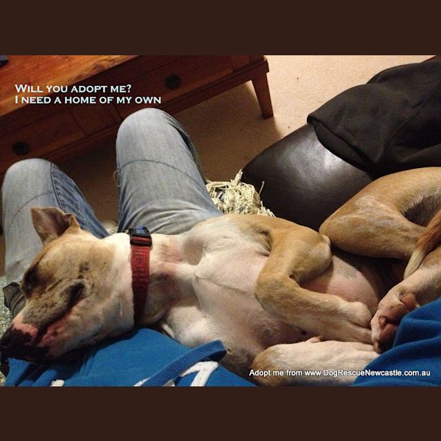 Photo of Sophie (On Trial 16/8/14)