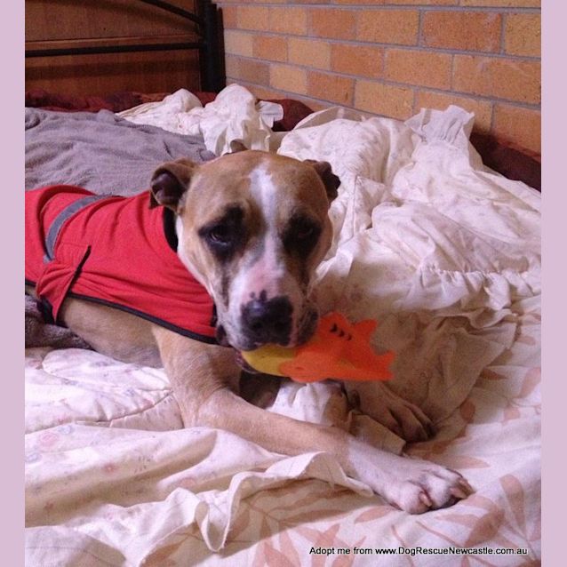 Photo of Sophie (On Trial 16/8/14)