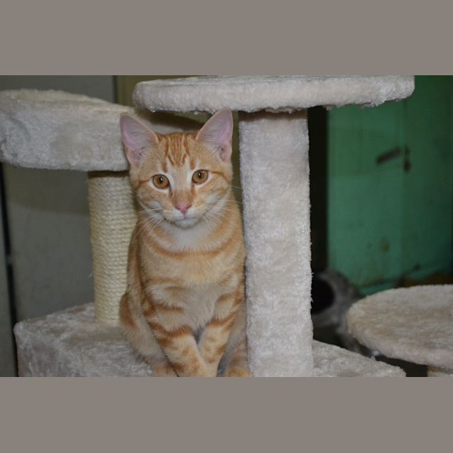 Photo of Fred