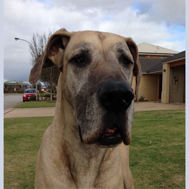 Photo of Hurley