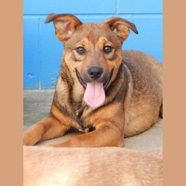 Photo of Kia