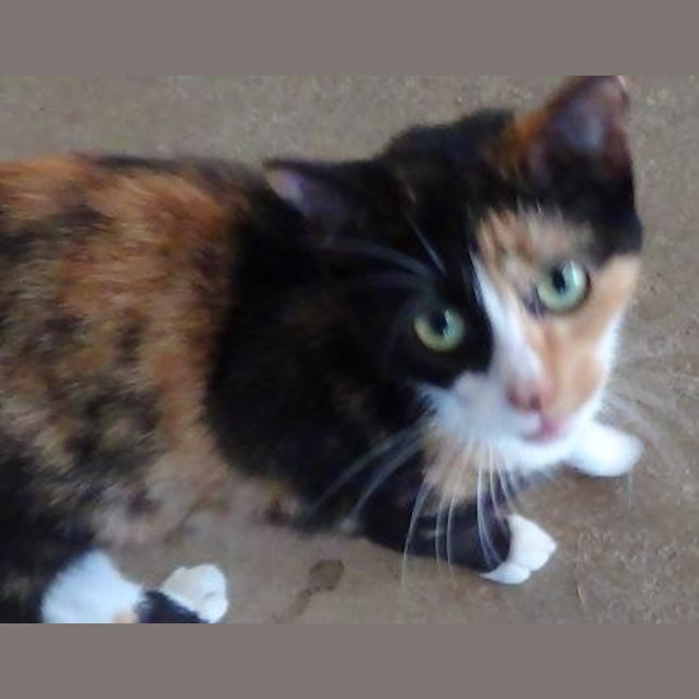 Photo of Mary Lou