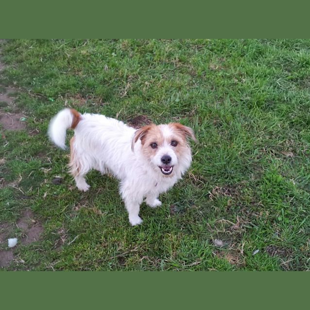 Photo of Sunny F.R.E.E To Great Home