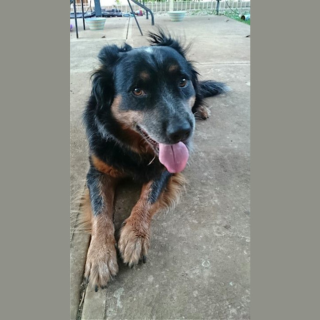 Photo of Max