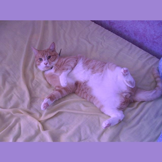 Photo of Max