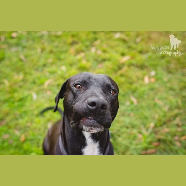Photo of Midnight