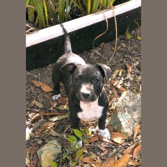 Photo of Minnie(video Included)