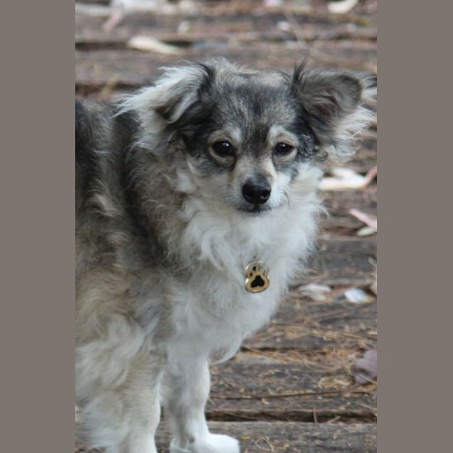 Photo of Macie 