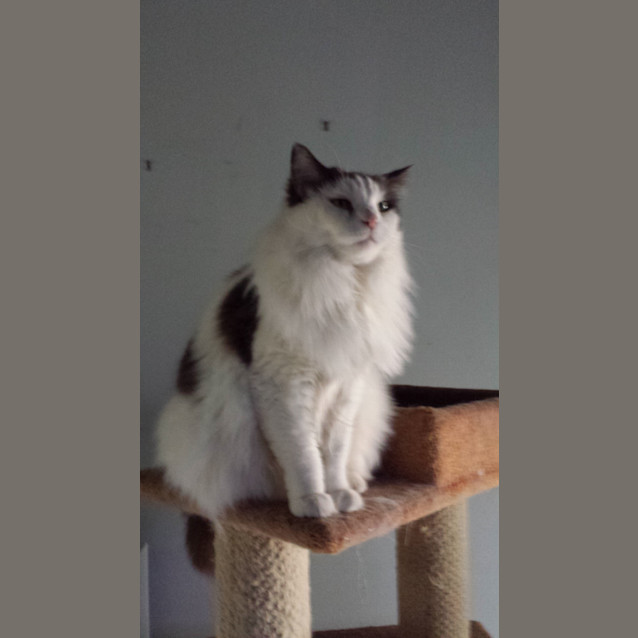 Photo of Monster