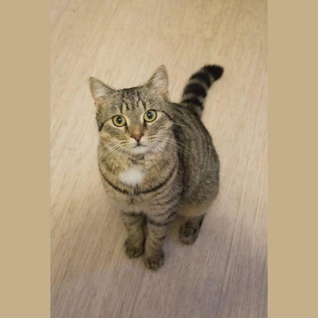 Photo of Tiggs *Discounted For September*