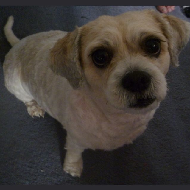 Photo of Bonnie