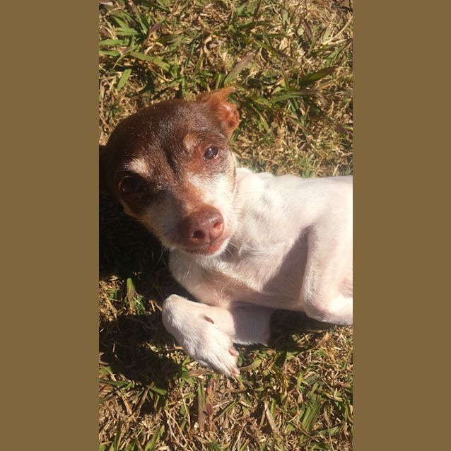 Photo of Violet 