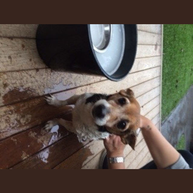Photo of Meg *Senior Alert*