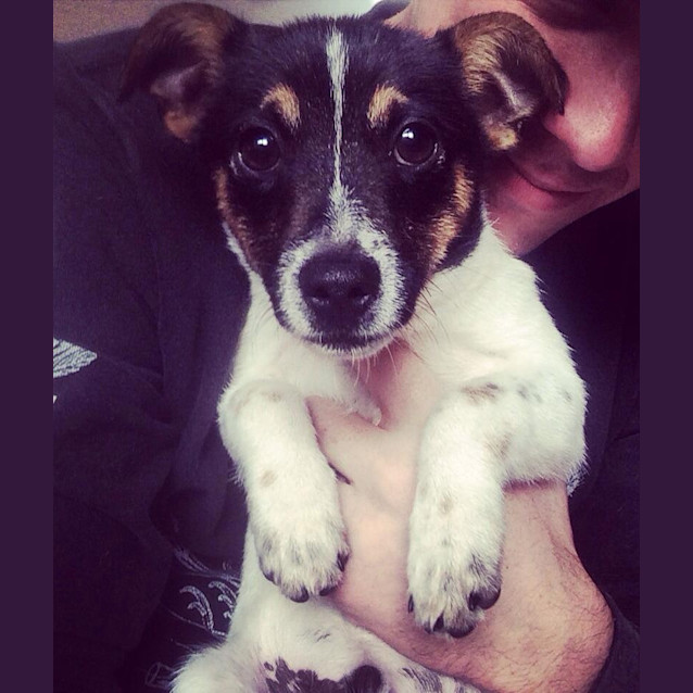 Photo of Petey