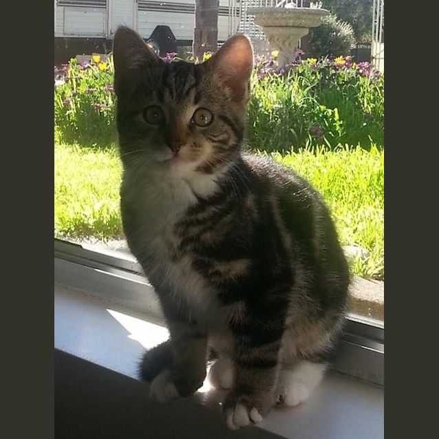 Photo of Jasper
