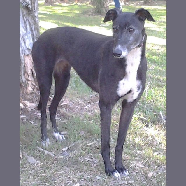 Photo of 026 9814 Cath