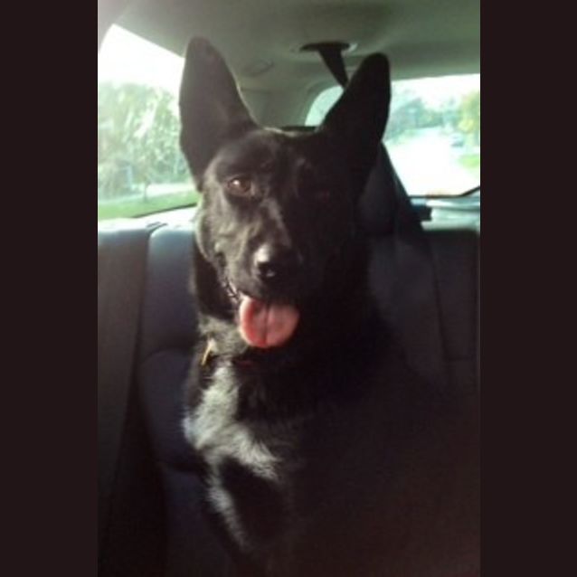 Photo of Kola