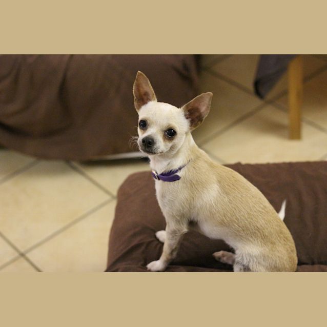 Photo of Narla