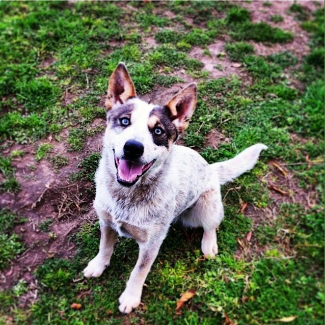 Photo of Belle