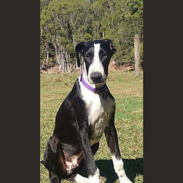 Photo of Gus