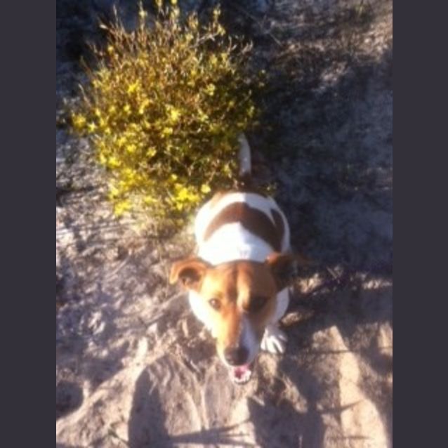 Photo of Mackie