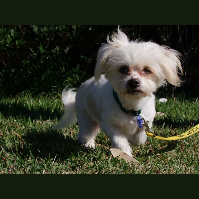 Photo of Kazimiris (On Trial 31/8/14)