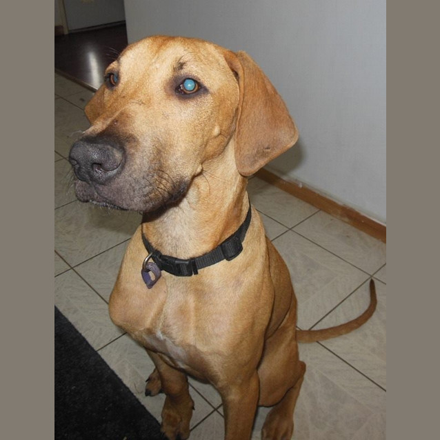 Photo of Lennox