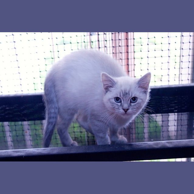 Photo of Kiki