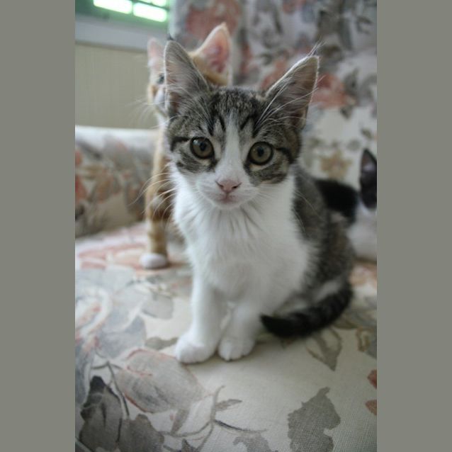 Photo of Freya